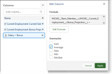 Screenshot showing salary + bonus column formula selected with average checked